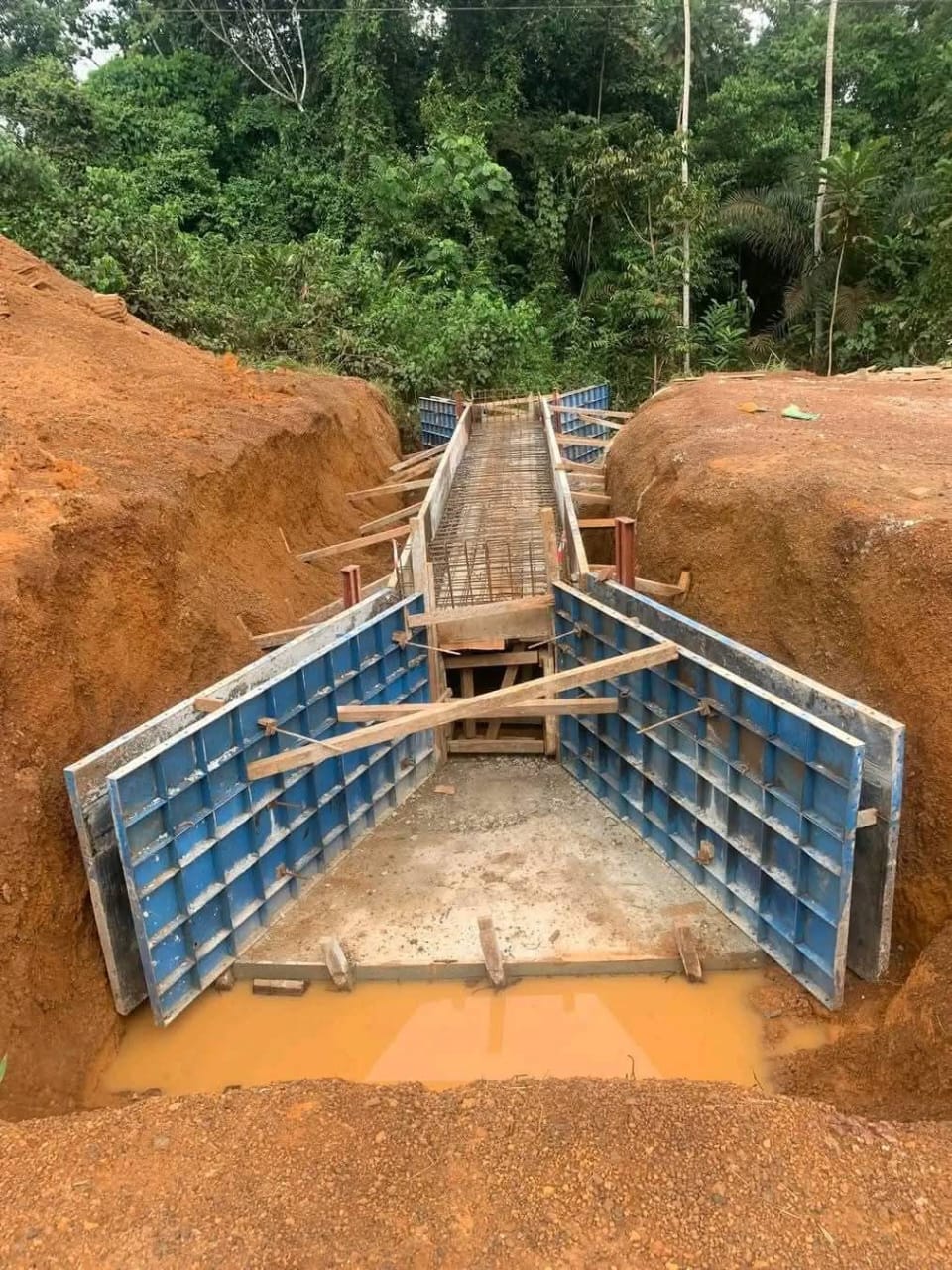 Bridge Project 1